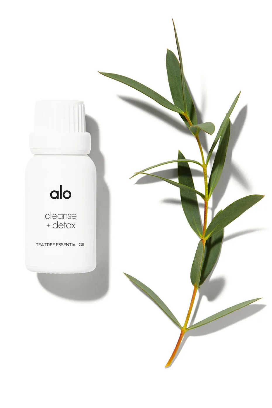 Cleanse & Detox Essential Oil (Tea Tree)