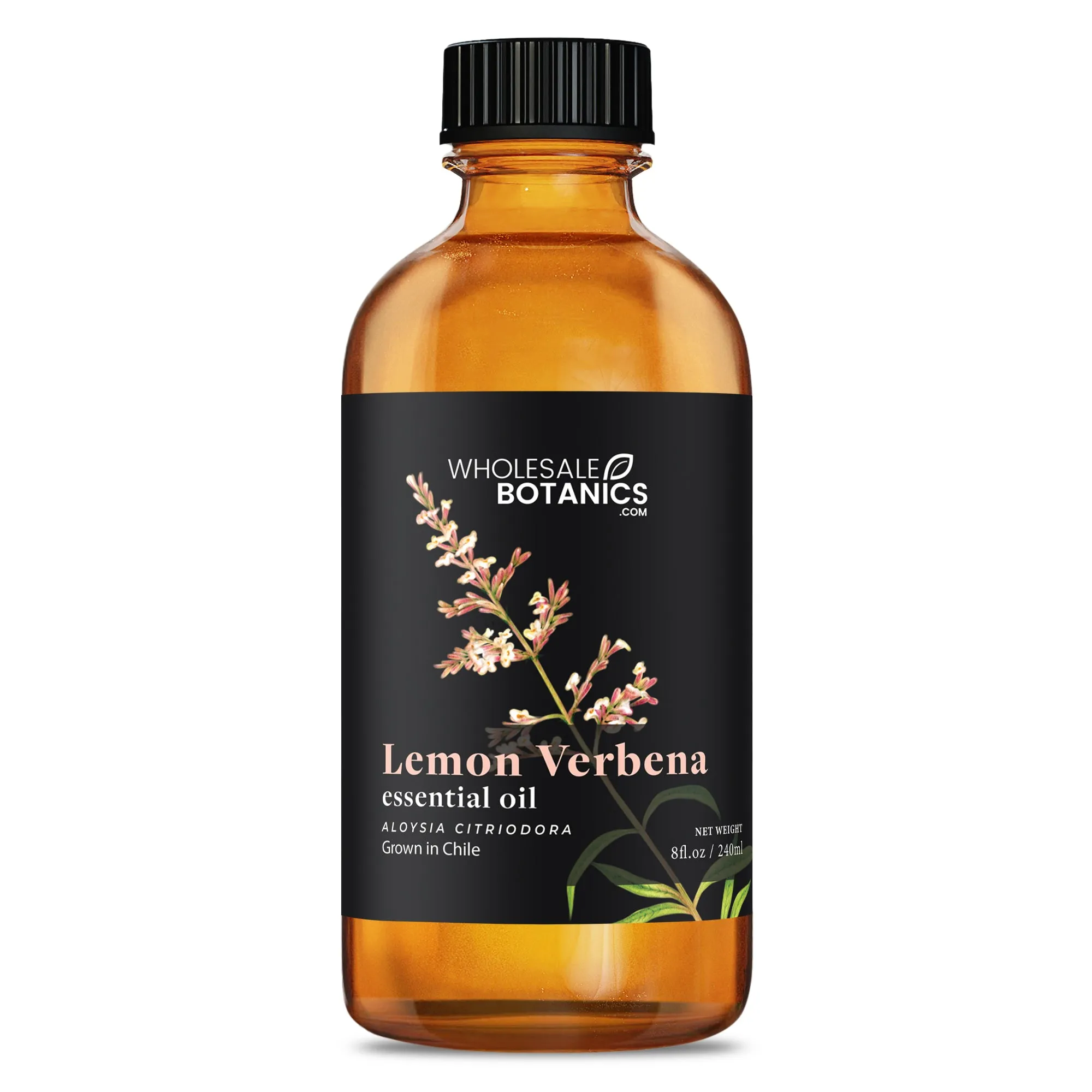 Lemon Verbena Essential Oil