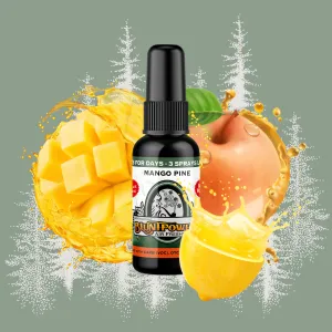 Mango Pine Air Freshener Spray