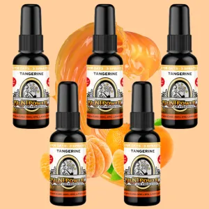 Tangerine Air Freshener Bundle (5 Pack)