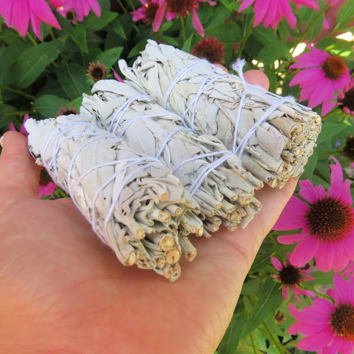 White Sage Smudge Stick 4" | Energy Cleansing Sage Bundle Natural Incense