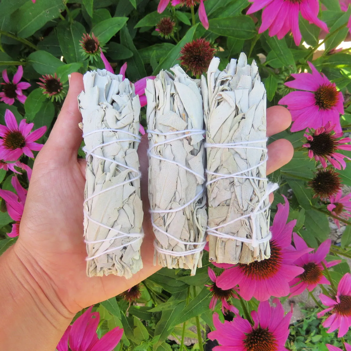 White Sage Smudge Stick 4" | Energy Cleansing Sage Bundle Natural Incense