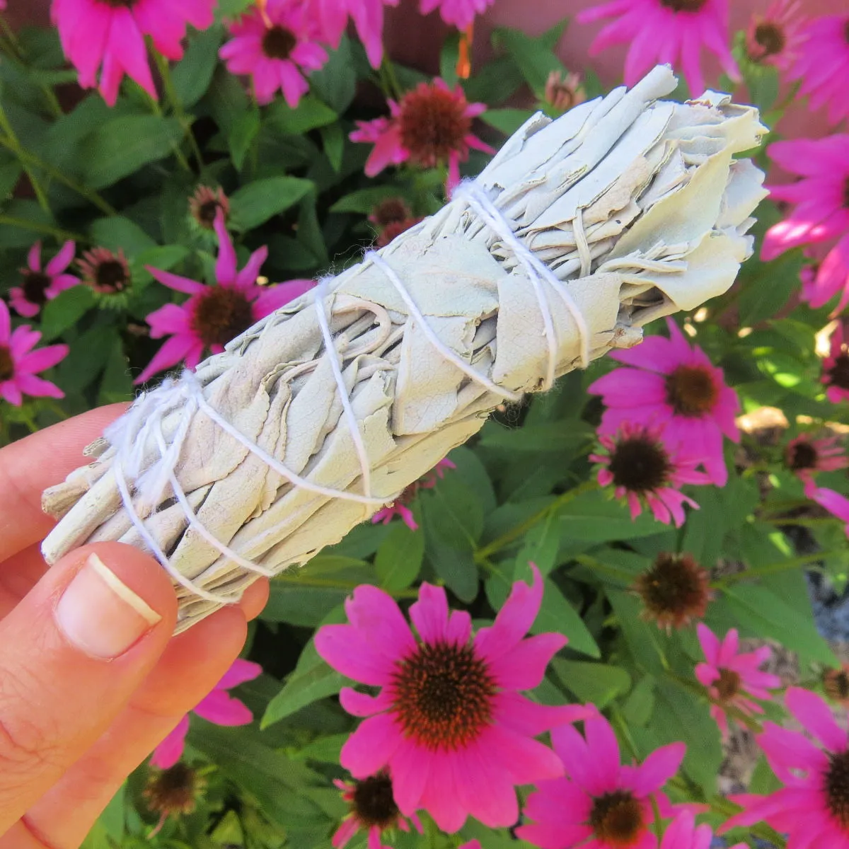 White Sage Smudge Stick 4" | Energy Cleansing Sage Bundle Natural Incense