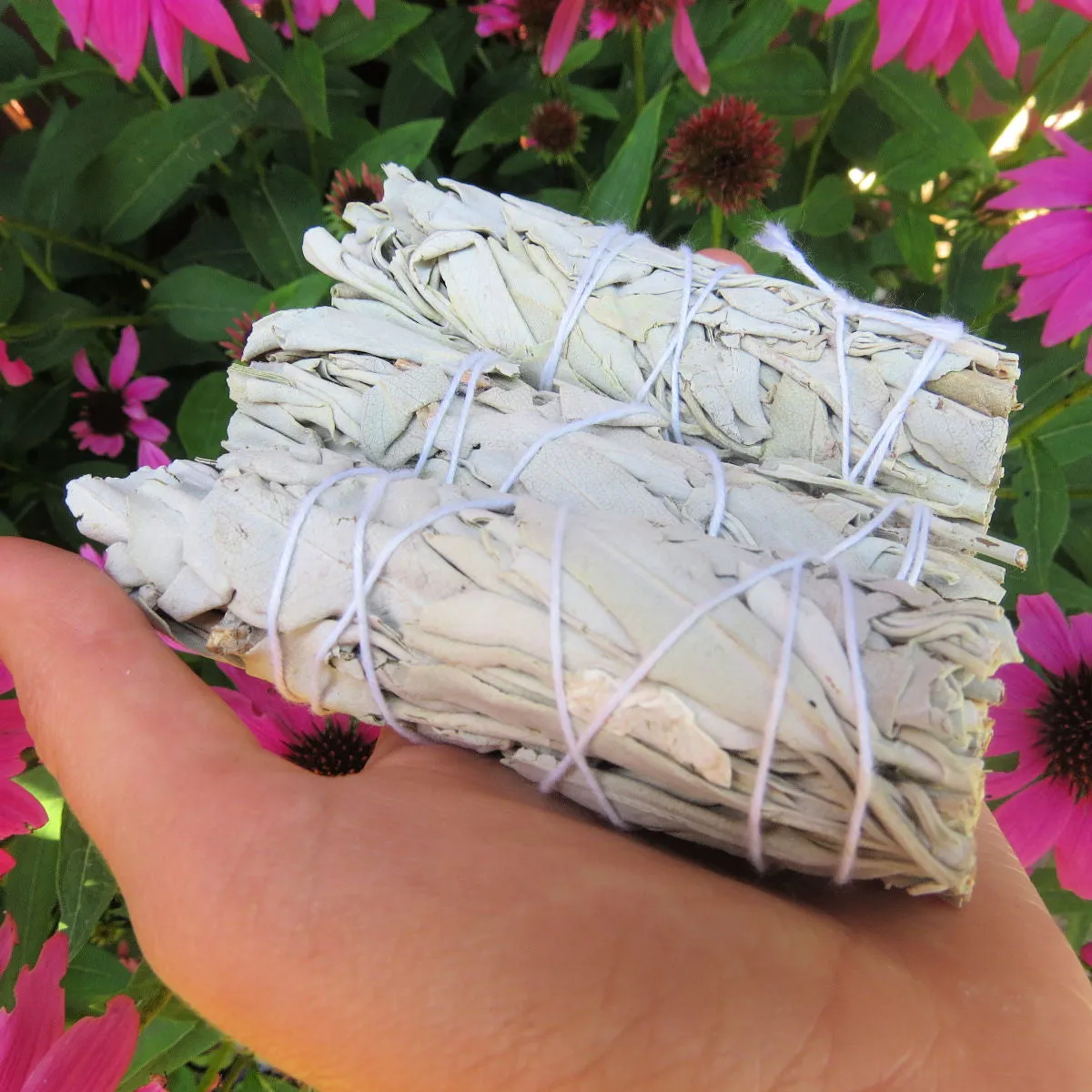 White Sage Smudge Stick 4" | Energy Cleansing Sage Bundle Natural Incense